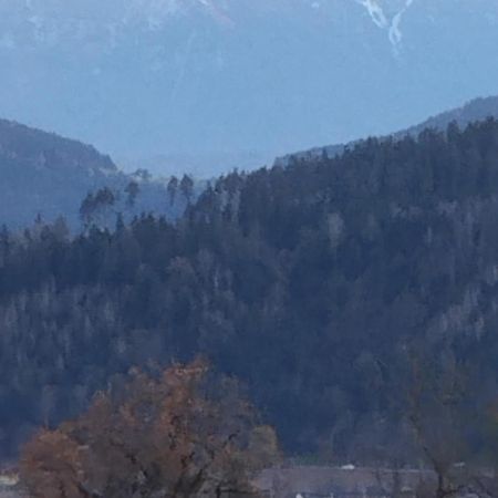 Schoene Ferienwohnung In Kaernten Hunde Gerne Auf Anfrage Sankt Veit an der Glan Exterior foto