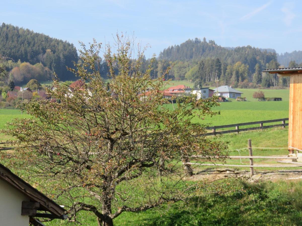 Schoene Ferienwohnung In Kaernten Hunde Gerne Auf Anfrage Sankt Veit an der Glan Exterior foto