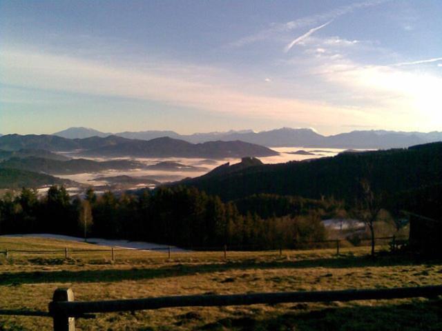 Schoene Ferienwohnung In Kaernten Hunde Gerne Auf Anfrage Sankt Veit an der Glan Exterior foto